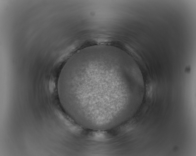 X0000112410618200908281815