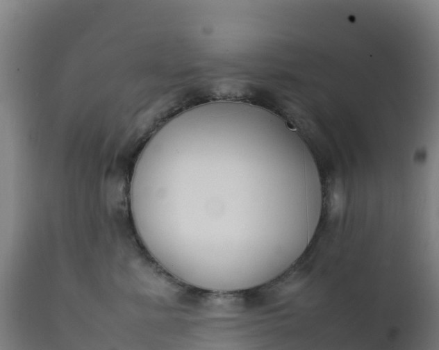 X0000112410619200908281815