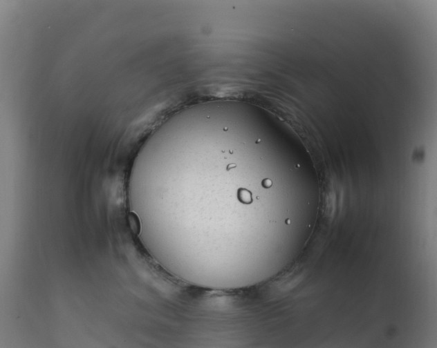 X0000112410620200908281815