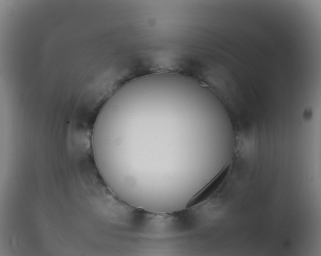 X0000112410621200908281815