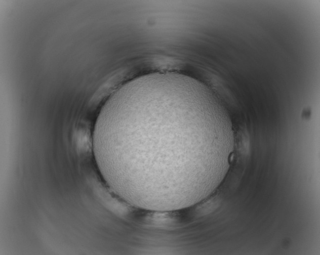 X0000112410622200908281815