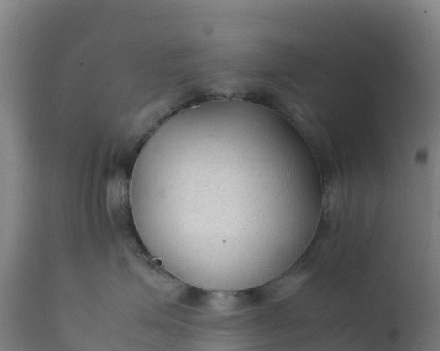 X0000112410623200908281815