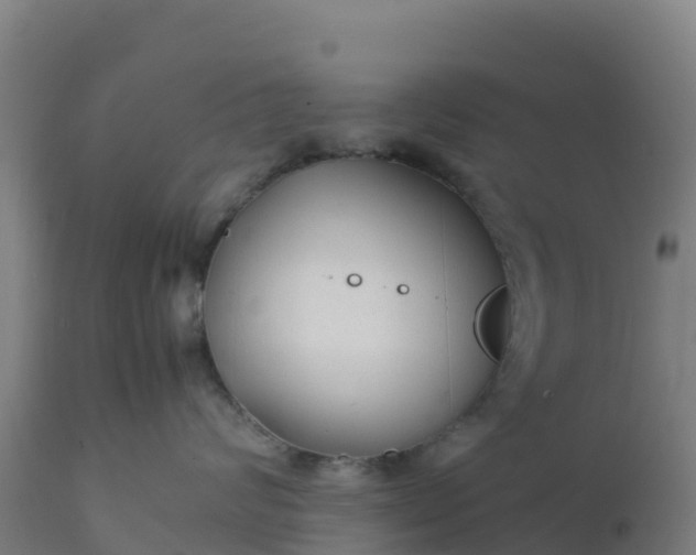 X0000112410624200908281815