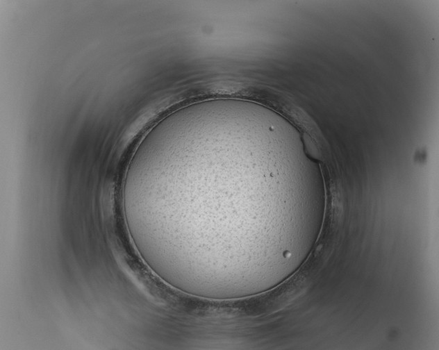 X0000112410626200908281814