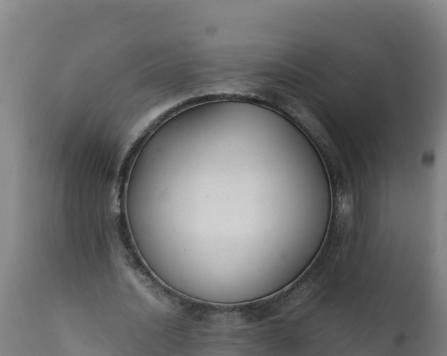 X0000112410628200908281814