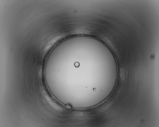 X0000112410629200908281814