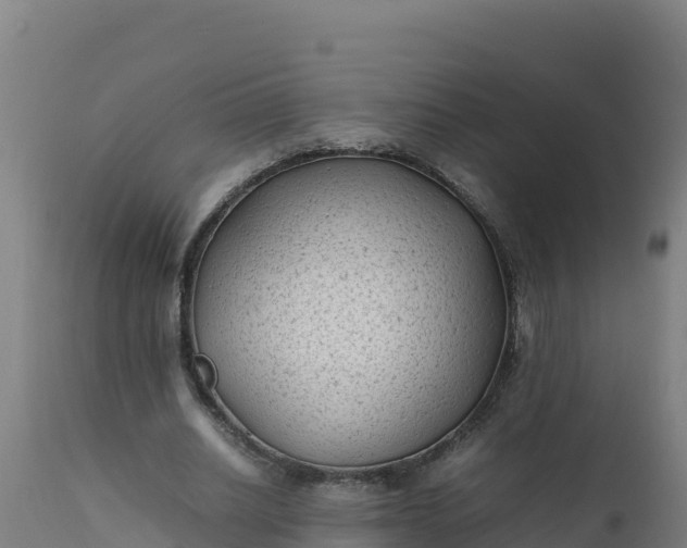 X0000112410630200908281814