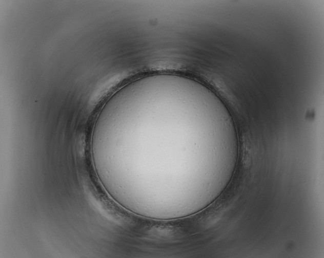 X0000112410631200908281814