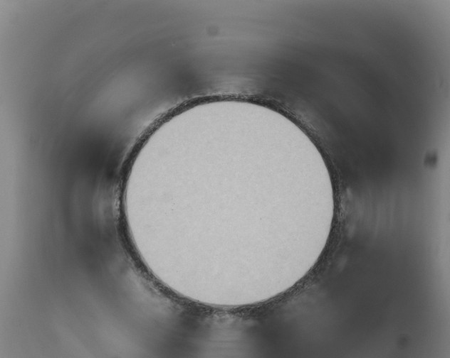 X0000112410632200908281814