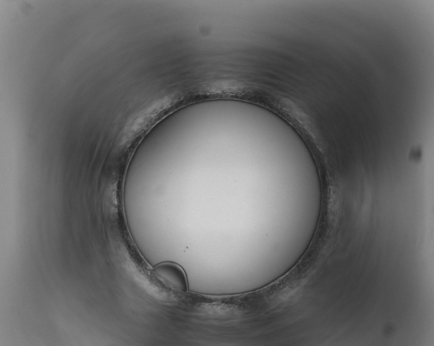 X0000112410633200908281814