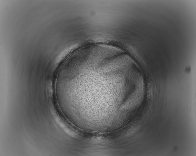 X0000112410634200908281814