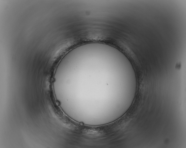 X0000112410635200908281814