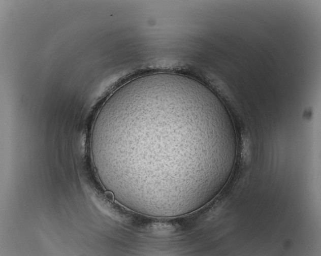 X0000112410636200908281814