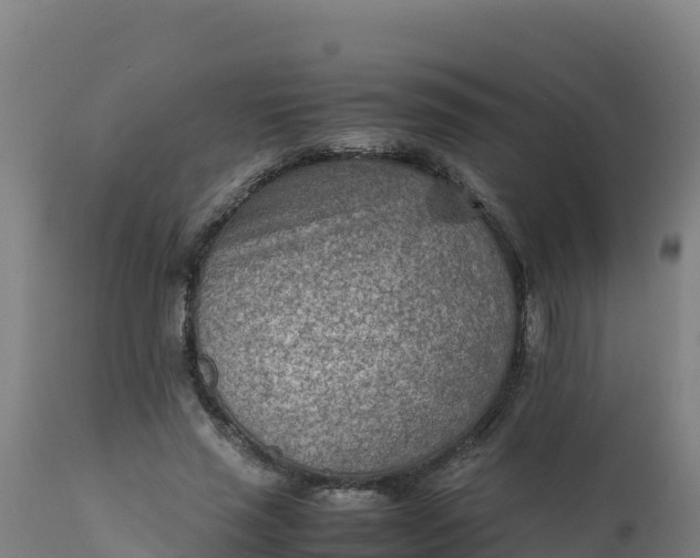 X0000112410637200908281814