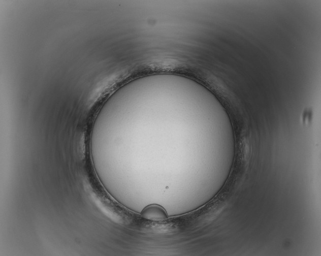 X0000112410638200908281814