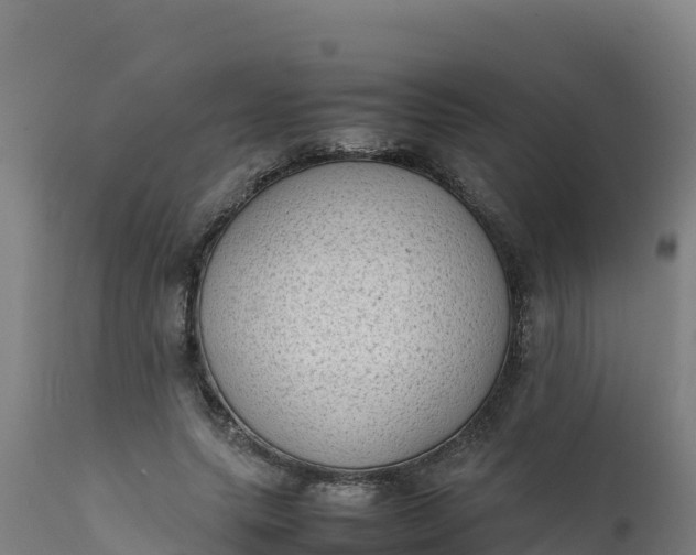 X0000112410639200908281814