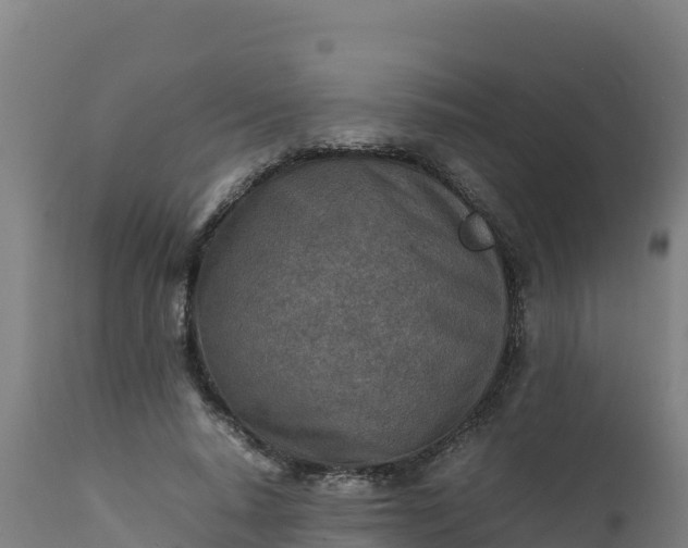 X0000112410640200908281814