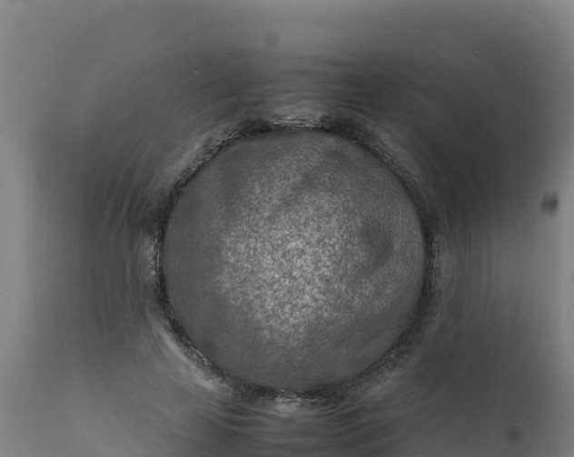 X0000112410641200908281814