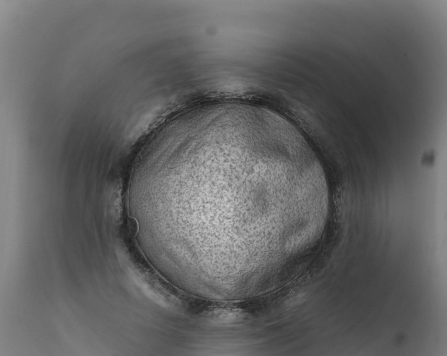 X0000112410642200908281814