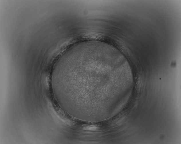 X0000112410643200908281814