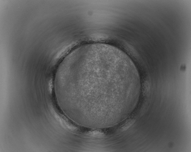 X0000112410644200908281814