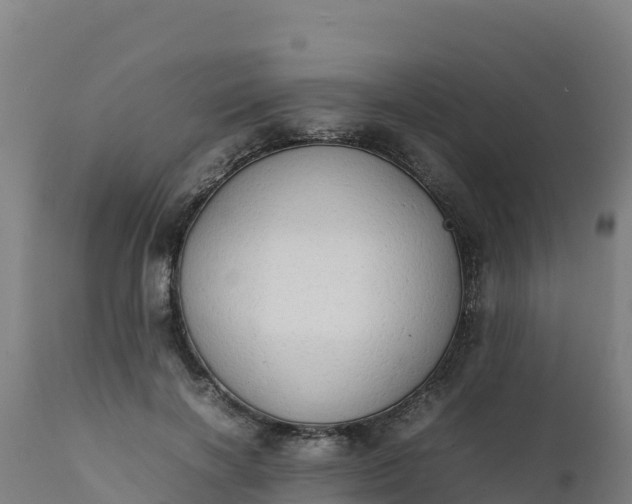 X0000112410646200908281814