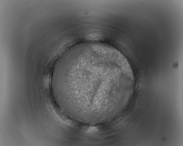 X0000112410647200908281814