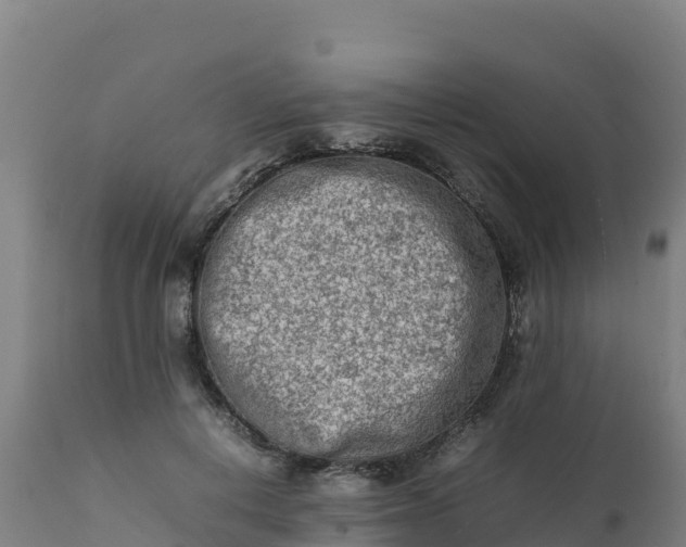 X0000112410648200908281814