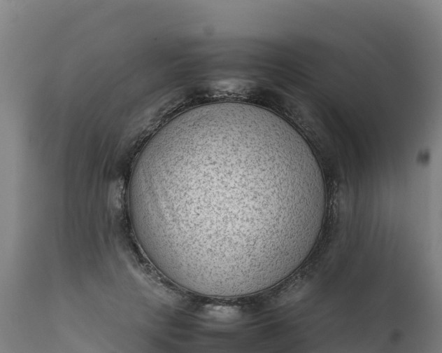 X0000112410649200908281815