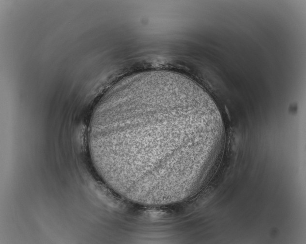 X0000112410650200908281815