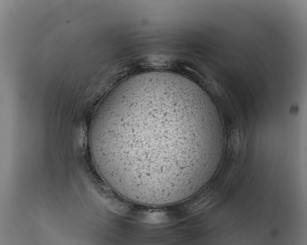 X0000112410651200908281815