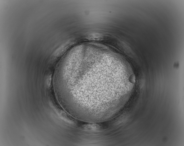 X0000112410652200908281815