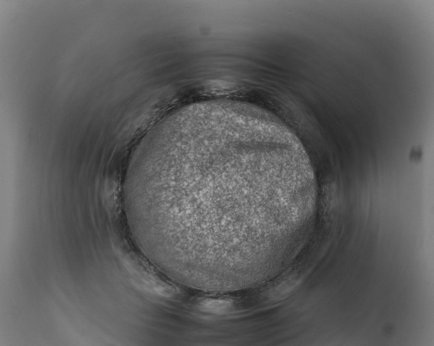 X0000112410653200908281815