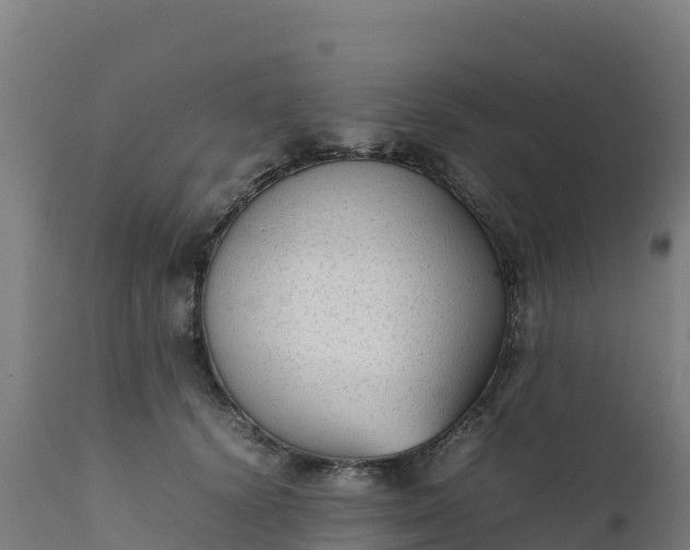 X0000112410656200908281815