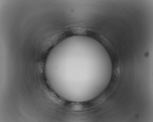 X0000112410658200908281815