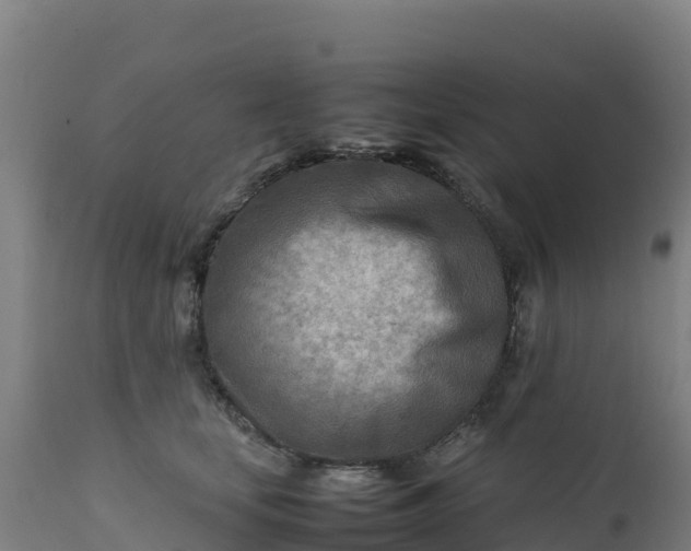 X0000112410659200908281815