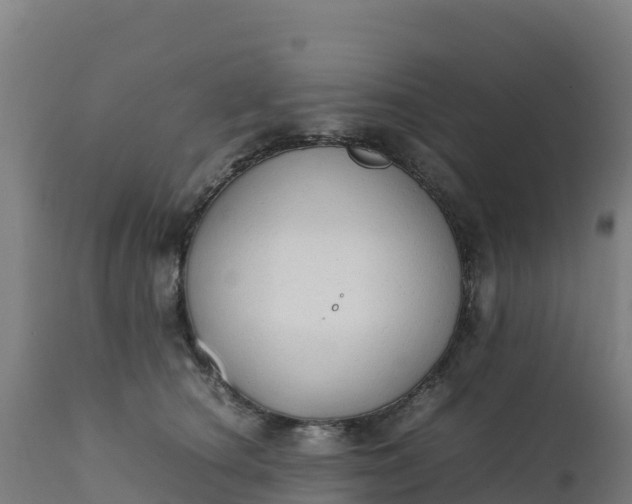 X0000112410660200908281815