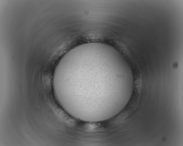 X0000112410662200908281815