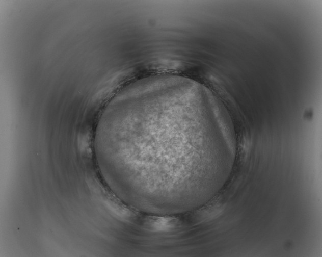 X0000112410663200908281815