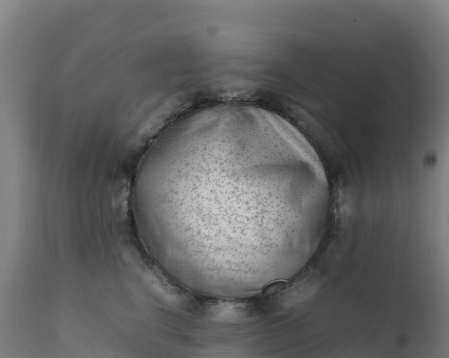 X0000112410664200908281815