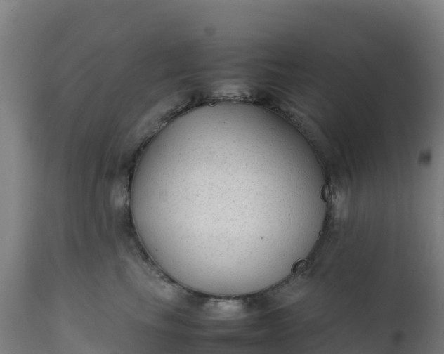 X0000112410665200908281815