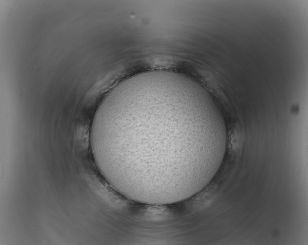 X0000112410666200908281815