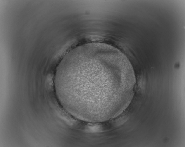 X0000112410667200908281815