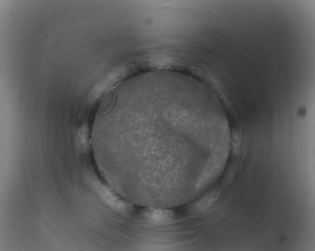 X0000112410670200908281815