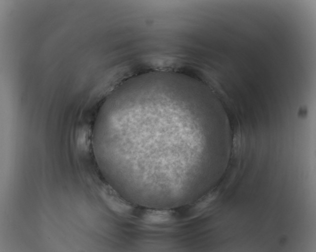 X0000112410671200908281815