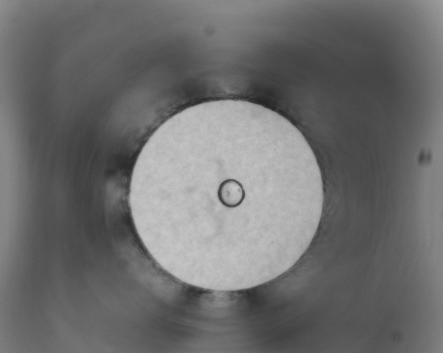 X0000112410672200908281815