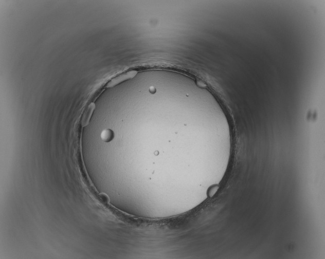 X0000112410673200908281814