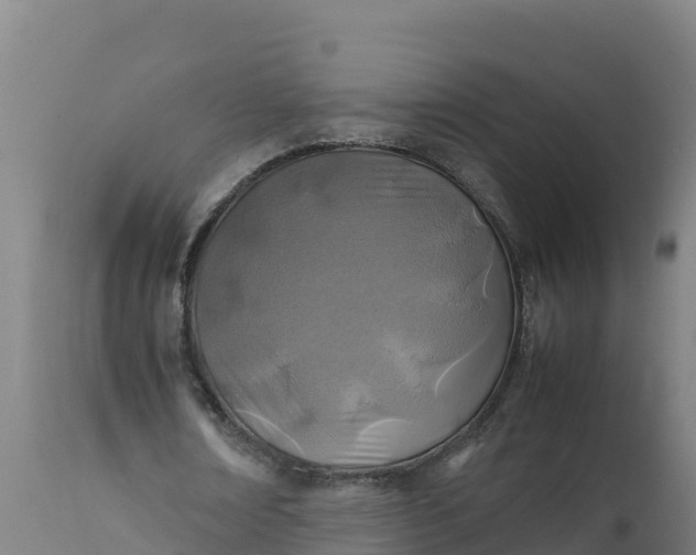 X0000112410674200908281814