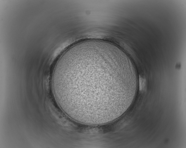 X0000112410675200908281814