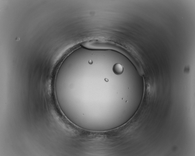 X0000112410676200908281814